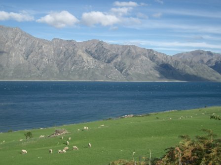 Neuseeland Lake Wanaka