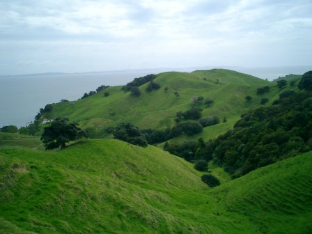 Neuseeland Coromandel