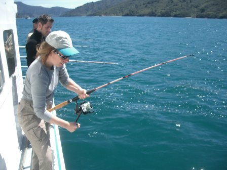 Neuseeland Angeltour Picton