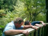 Coromandel
