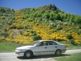 Arrowtown
