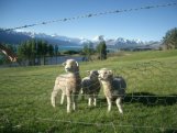 Lake Pukaki