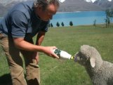 Lake Pukaki