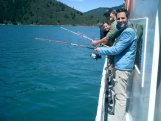 Angeltour Picton