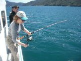Angeltour Picton