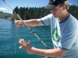 Angeltour Picton