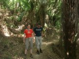 Abel Tasman Track