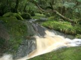 Karamea