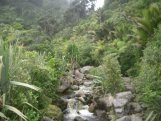 Heaphy Track