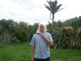 Heaphy Track