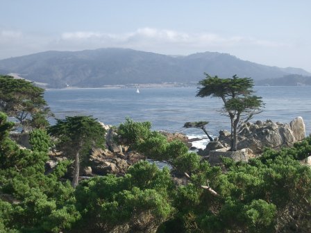 Usa Monterey Beach