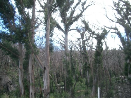 Australien Sydney Melbourne Grampians