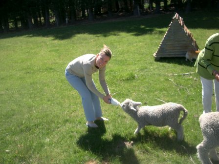 Neuseeland Lake Pukaki Bed Breakfast