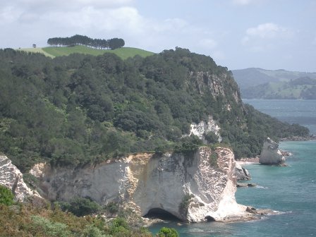 Neuseeland Cathedral cove