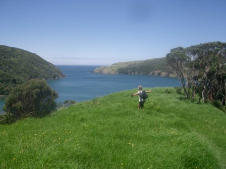 Neuseeland Bay of Islands Hiking