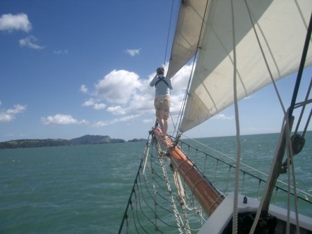 Neuseeland Bay of Islands Segeln