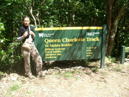 Neuseeland Queen Charlotte Track