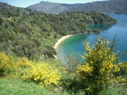 Neuseeland Queen Charlotte Track