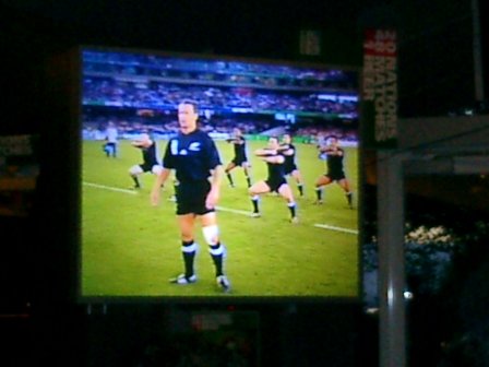 Neuseeland Rugby