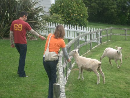 Neuseeland Takaka