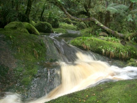 Neuseeland Karamea