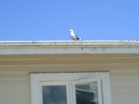 Neuseeland Karamea