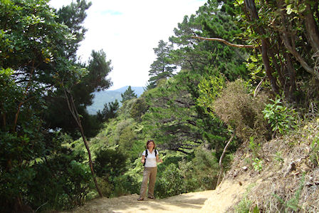 Queen Charlotte Track - Neuseeland 2010