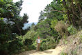 Queen Charlotte Track