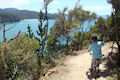 Abel Tasman Pitt Head Lookout