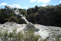 Lady Knox Geysir