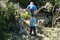 Queen Charlotte track