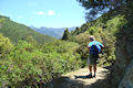 Queen Charlotte Track